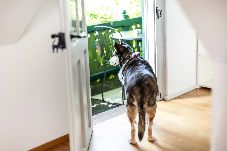 Apartment in Dornbirn - Dornbirn - Casa Verde Top 3