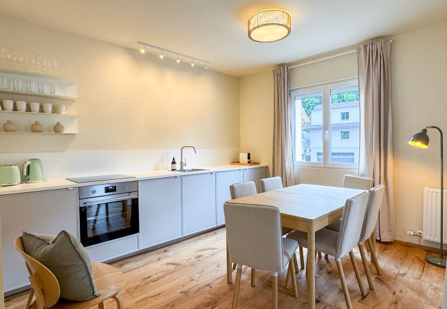 Apartment in Feldkirch - Levi Apartment Top 2