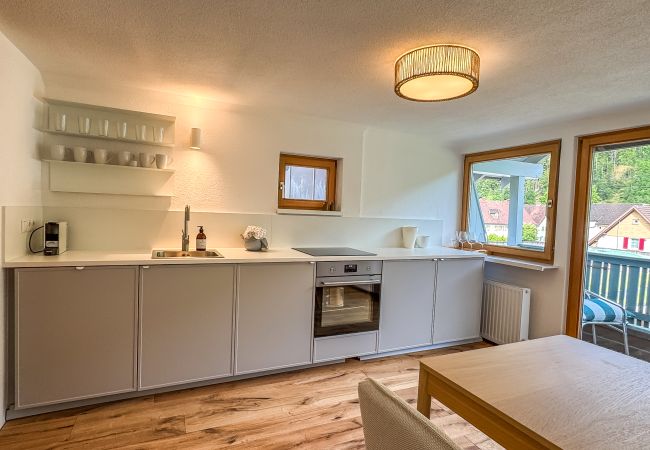 Apartment in Feldkirch - Levi Apartment Top 4