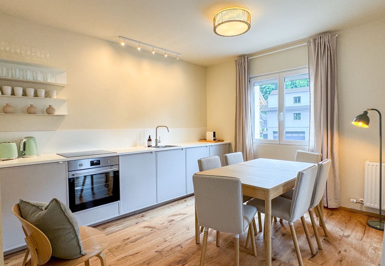 Ferienwohnung in Feldkirch - Levi Apartment Top 2